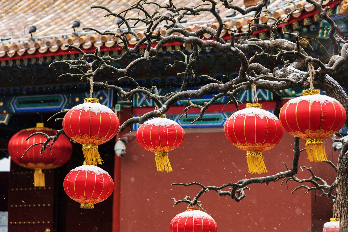 ChinaShowcase's tweet photo. Great Cold (大寒 Dàhán) arrives — the final chill of the year.
Nature settles into winter’s quiet, awaiting the first signs of spring… and the Spring Festival on 17th February 2026. ❄️🌱🧧
#GreatCold #Dàhán #SolarTerms #ChineseNewYear #LunarNewYear https://t.co/aeKM0d5W2B