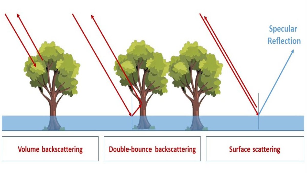 📃📃 #Flood Detection with #SAR: A #Review of Techniques and Datasets

✍️ Donato Amitrano et al.
🔗 brnw.ch/21wZedR