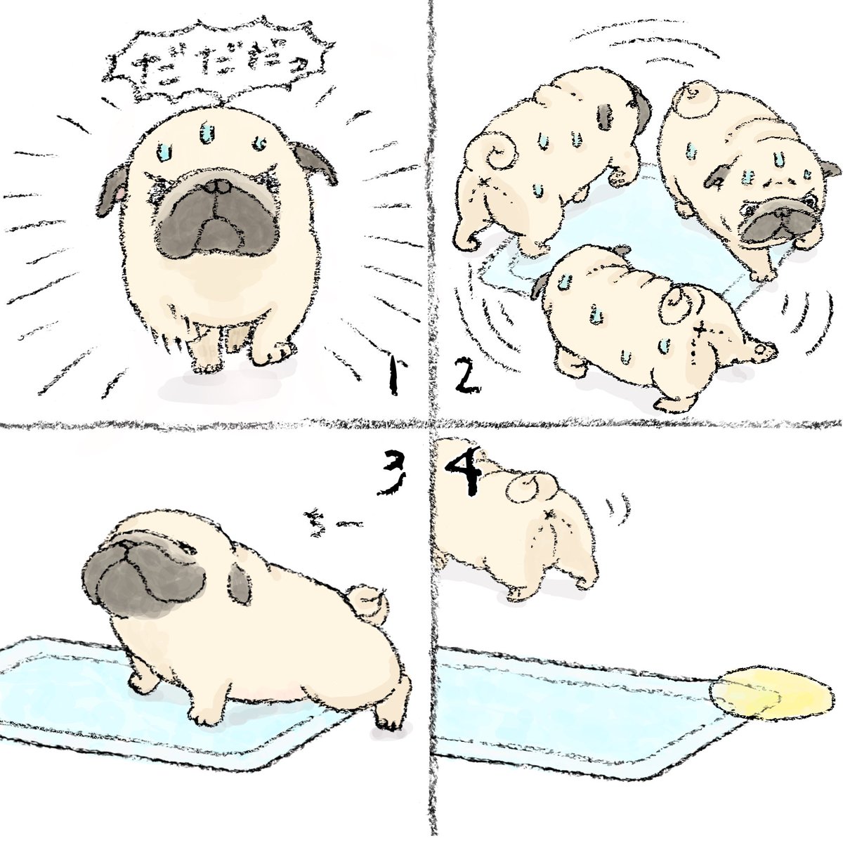 ハナちゃん (@89no87chan) / Posts / X