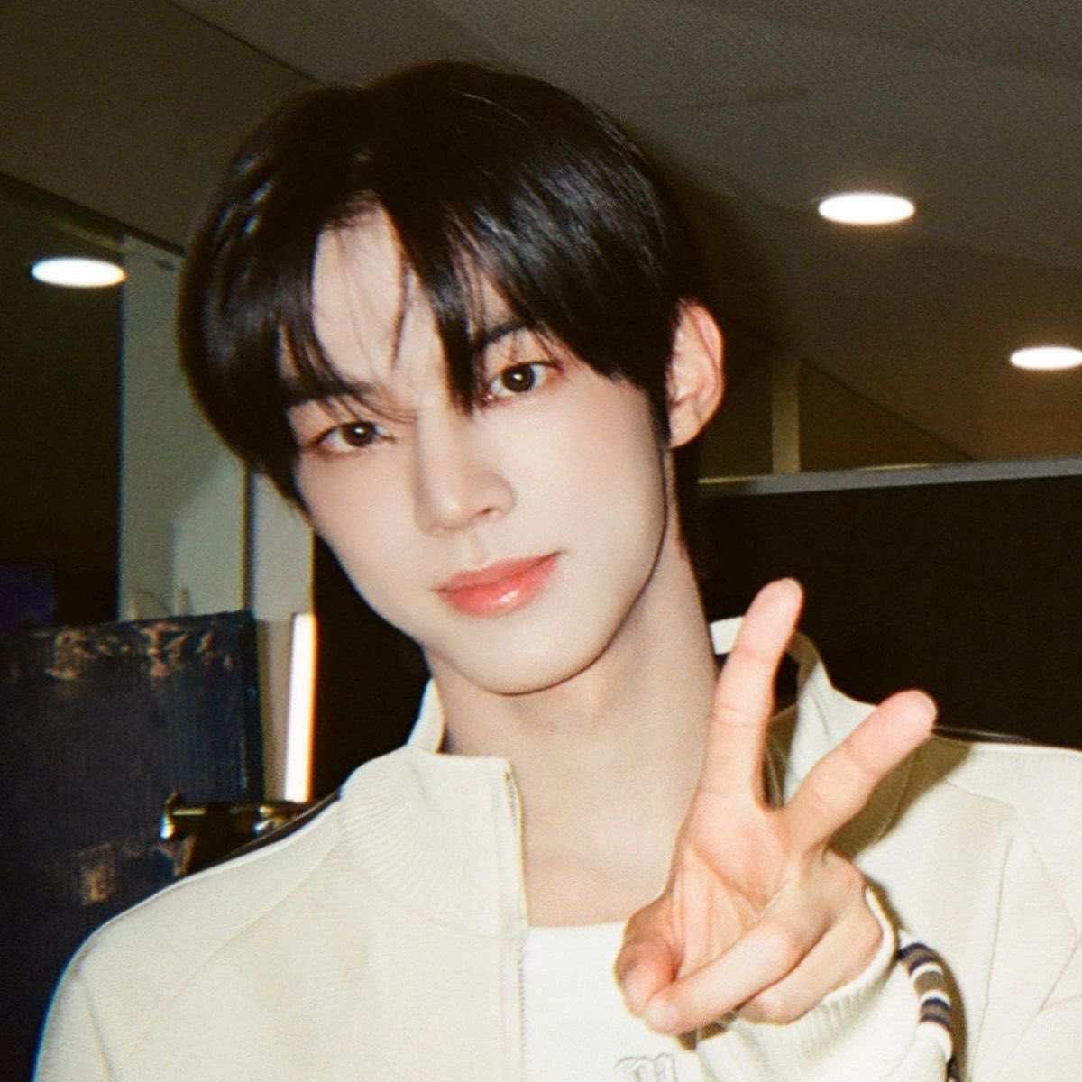 아카이브 tweet media