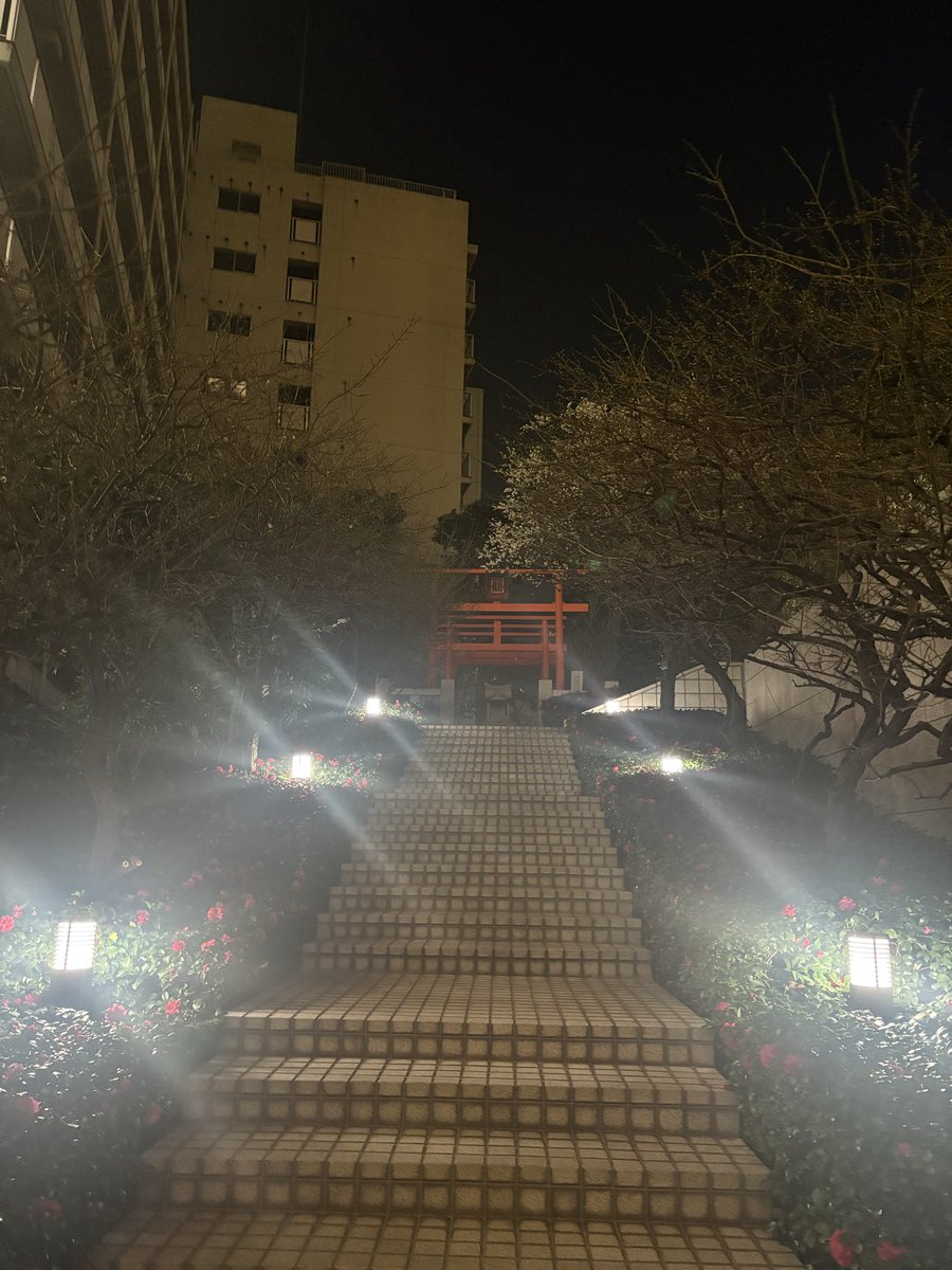 Toko 🇯🇵東京のこう tweet media