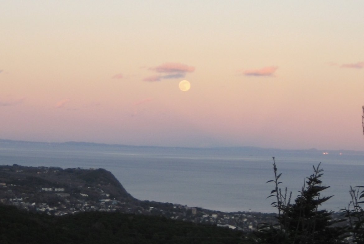 デジカメで振り返る思い出📷