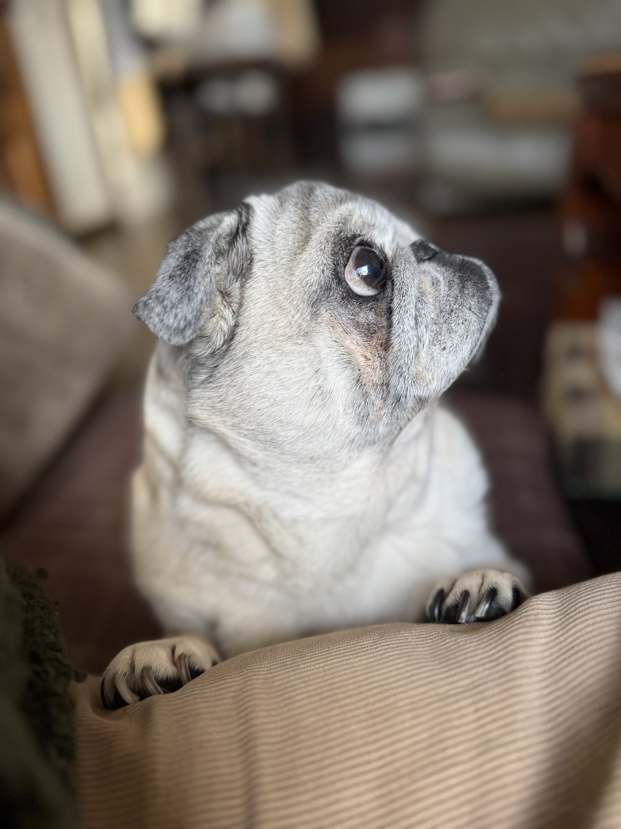 同じようで微妙に違うんです。
どれか一枚なんて選べないんです。