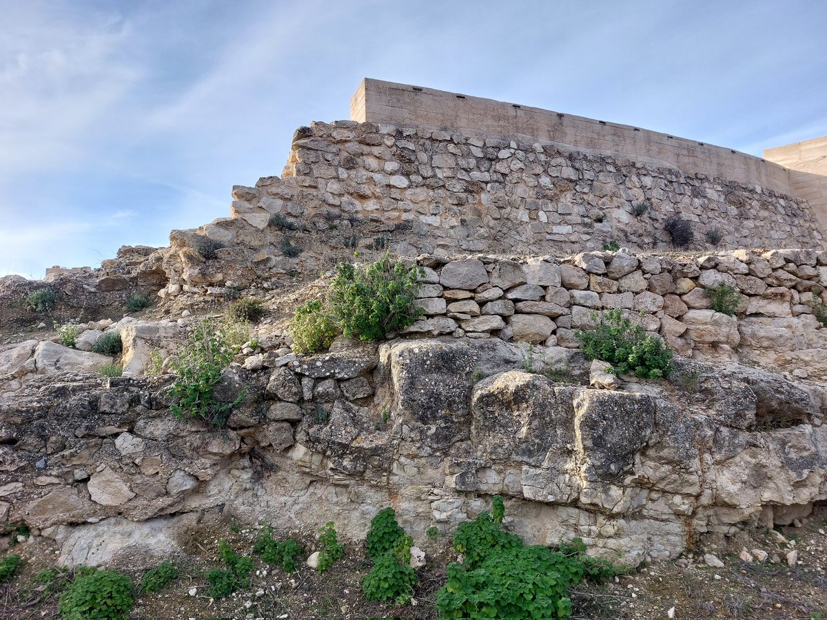 Paco Crespo tweet media