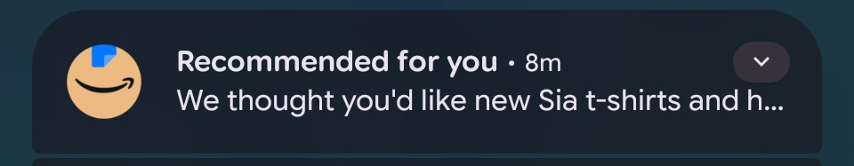 STOP RECOMMENDING ME SIA T-SHIRTS AND HOODIES STOP RECOMMENDING ME SIA T-SHIRTS AND HOODIES

I've never shown interest in them, I've selected 'not interested', I even told your AI chatbot I'm not interested in them... Yet every other day I get this same notification <a href="/AmazonUK/">Amazon.co.uk</a>