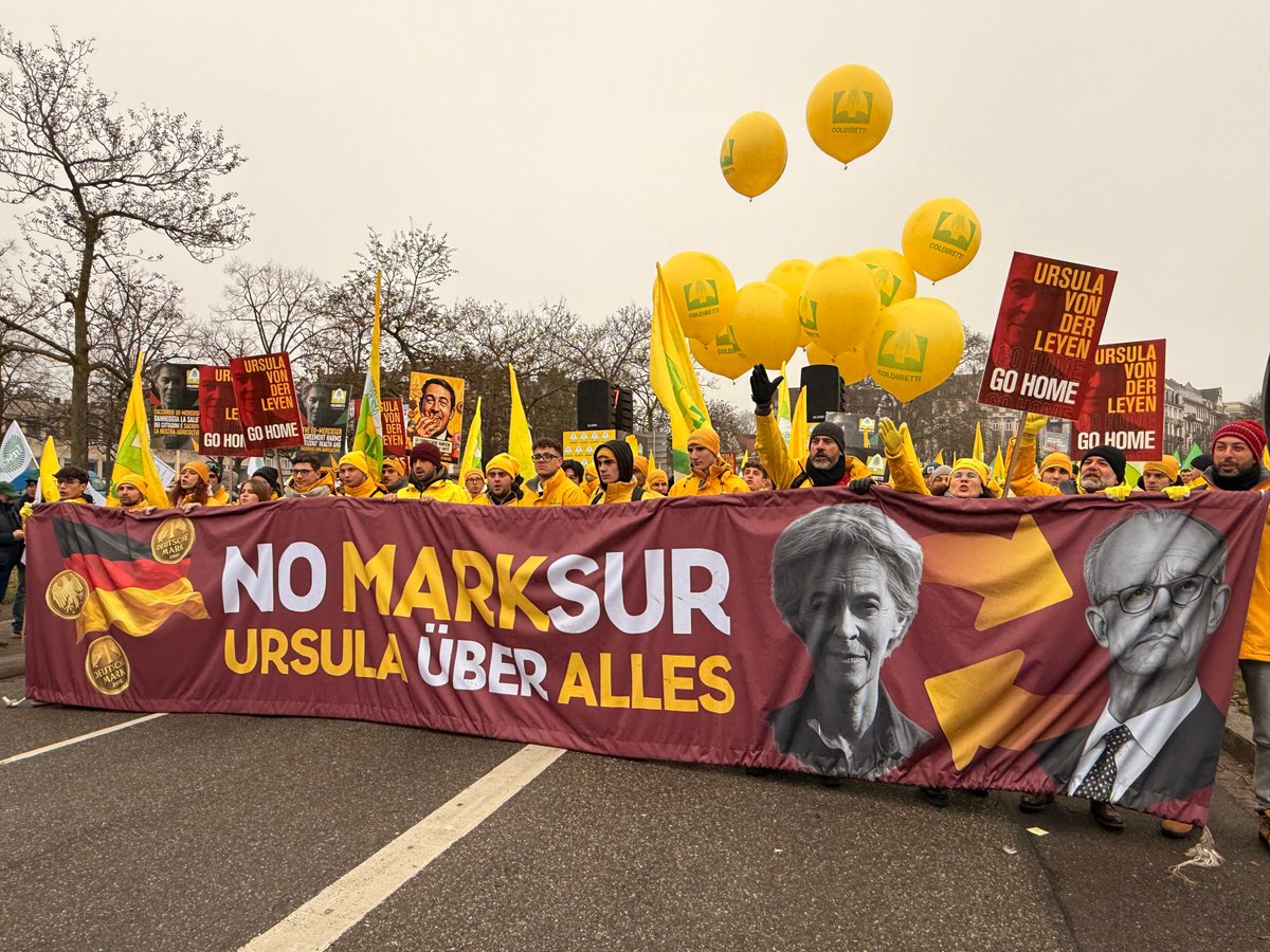 ColdirettiAL's tweet image. A Strasburgo la mobilitazione di @coldiretti continua per fermare le importazioni sleali di cibi che non rispettano  gli standard europei e mettono a rischio la salute dei cittadini e il reddito degli agricoltori. 
#coldiretti #nomercosur @vonderleyen