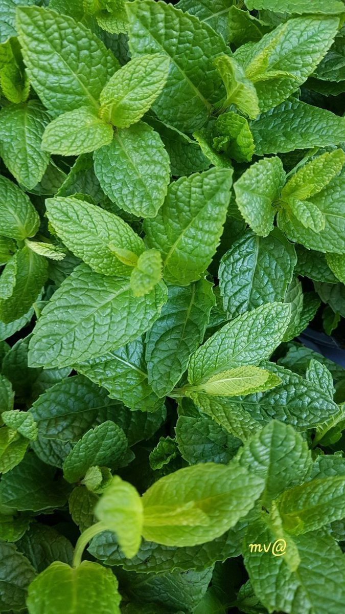 Sweet Adventures tweet media