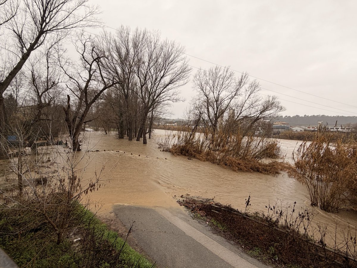 Carmina Solano Badia tweet media