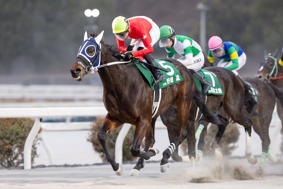 速報版】 高知で実施された #全日本新人王争覇戦 は #野畑凌騎手 が