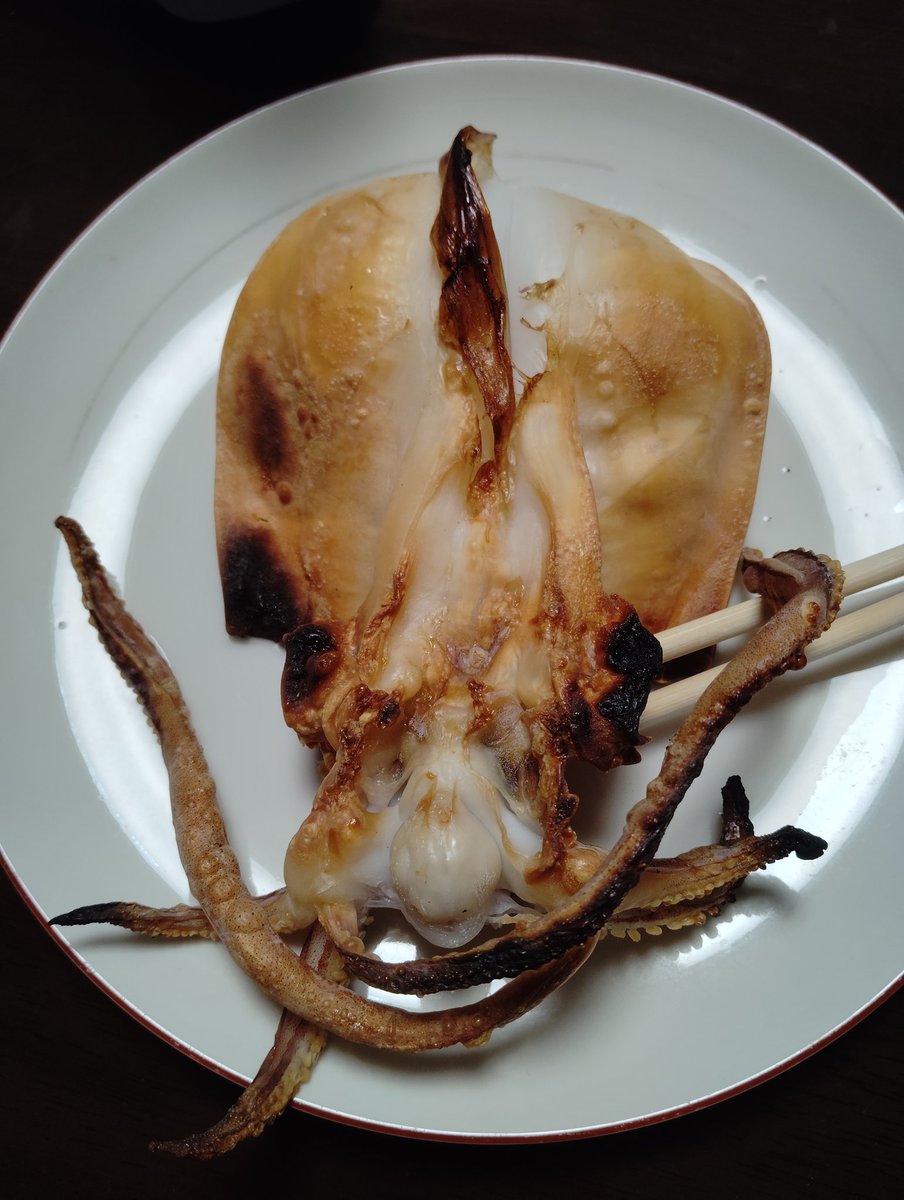 実家のあまりの寒さに凍えながら烏賊を焼いた