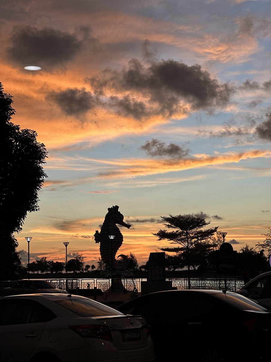 cas273_'s tweet photo. Forever the guy who will fall in love with every sunset https://t.co/nX0eWQBEJm