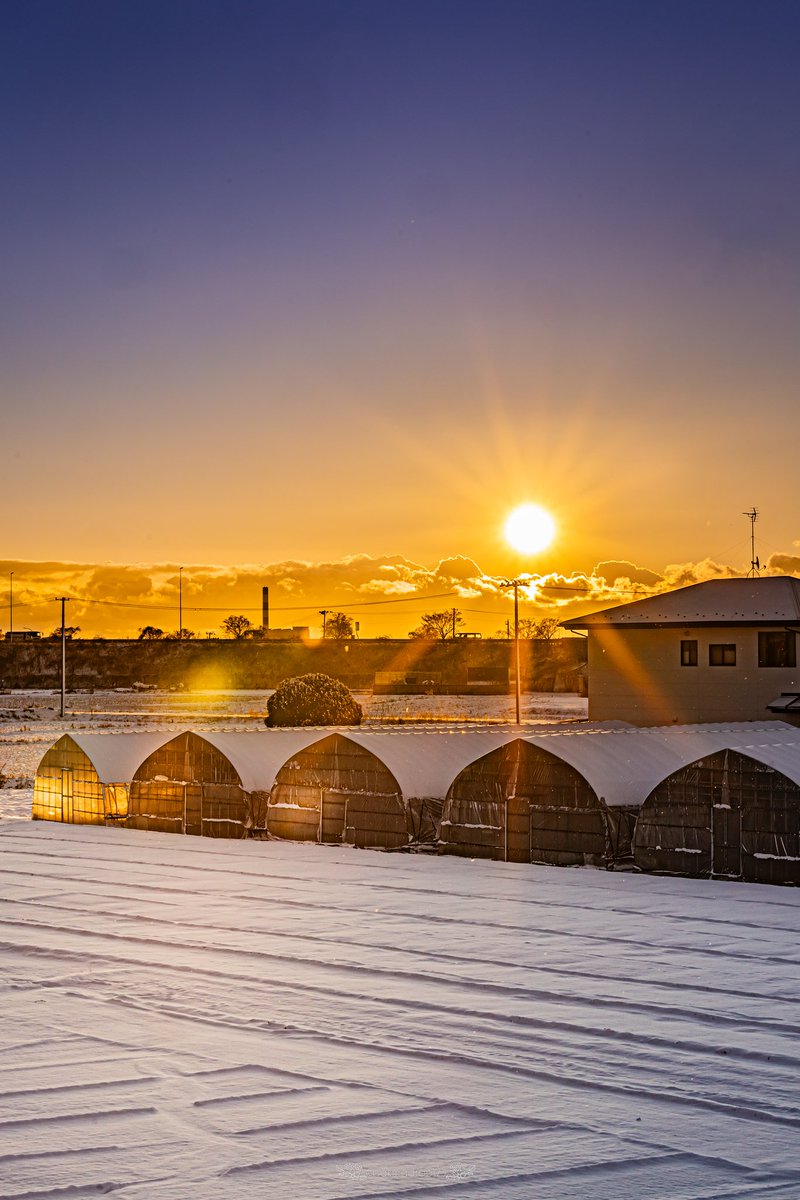 sakuradrops25's tweet image. 一晩の雪、一番の朝日🌅