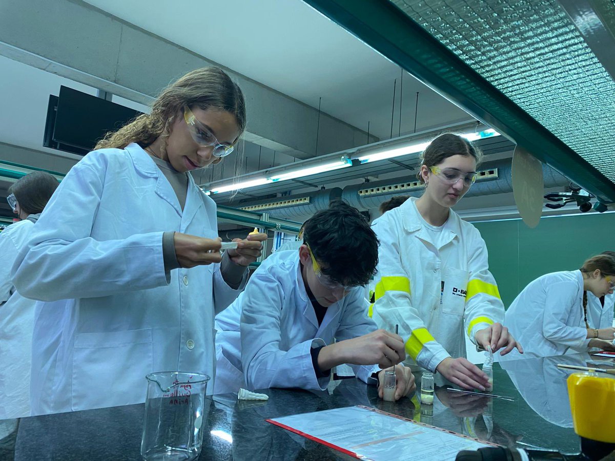 Col·legi Sant Pau tweet media