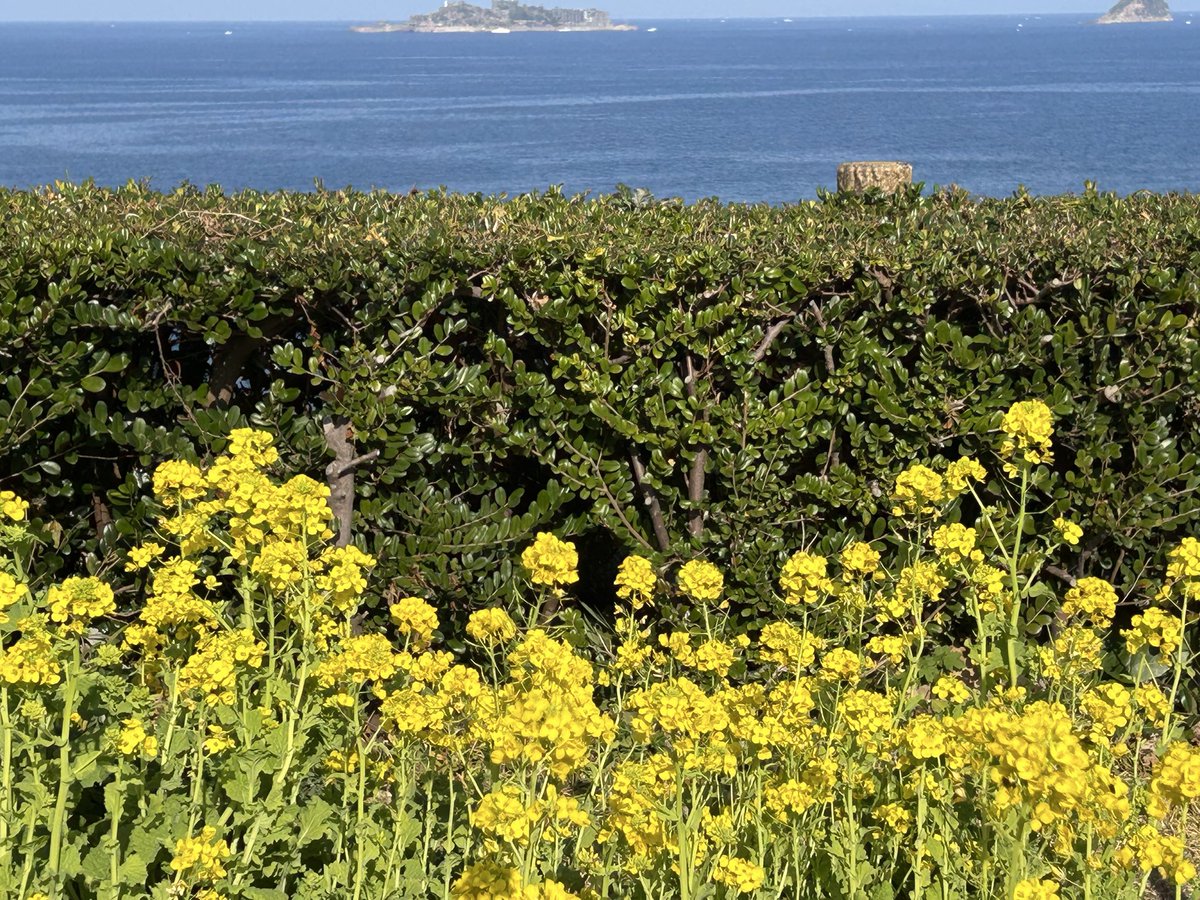 りえさん こんばんは！ 今日もお疲れ様でした！