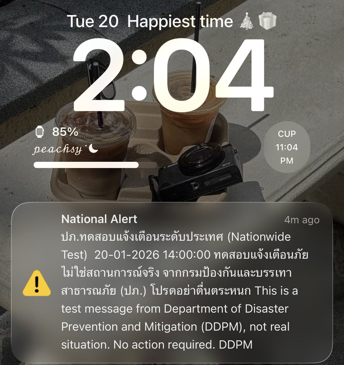 คนในประเทศก็มีตกใจแหละเพราะสำหรับบางคนมันคือครั้งแรกที่ได้รับแจ้งเตือนและเสียงดังแบบนี้ แต่คนไปต่างประเทศบ่อย ๆ จะคุ้นเคยดี แล้วเสียงที่เตือนคือเสียงดังฟังชัดเป็นเสียง Standard นะคะ ต่อให้เราตั้งโหมด Silent มันก็ดังค่ะ ซึ่งนี่คือโหมดที่อยากได้มาตลอด #แจ้งเตือนภัย