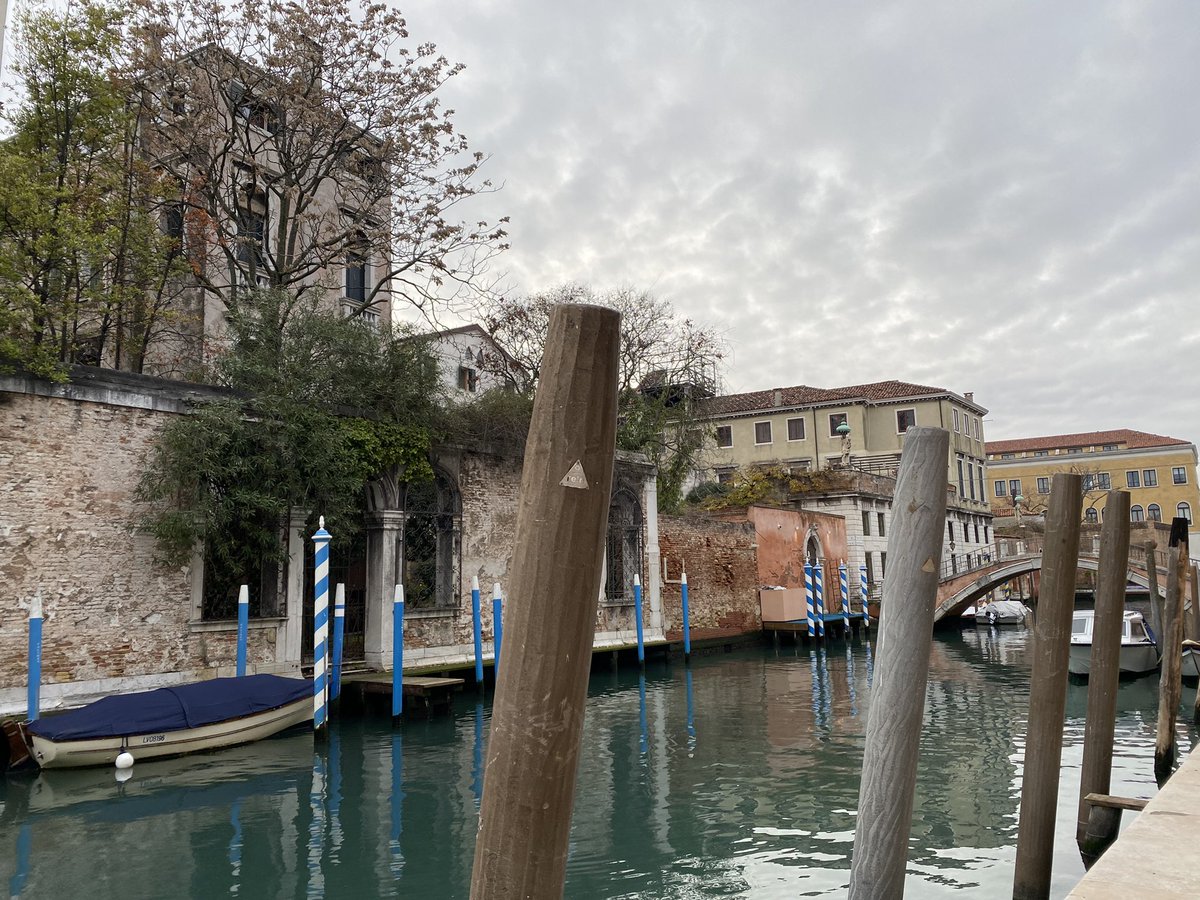 teatrolafenice's tweet image. «La vita non migliora per caso, migliora per scelta» (William Jennings Bryan). Buongiorno, amici!

#4febbraio