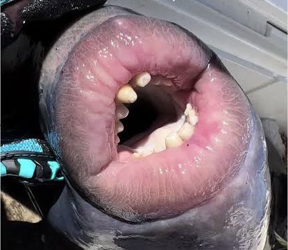 automottos's tweet image. 