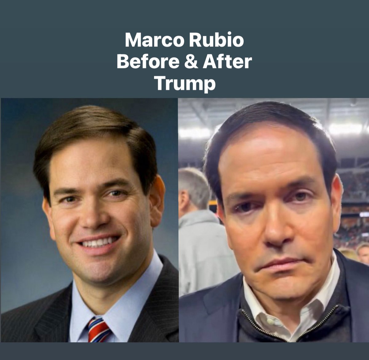 Mark M. tweet media
