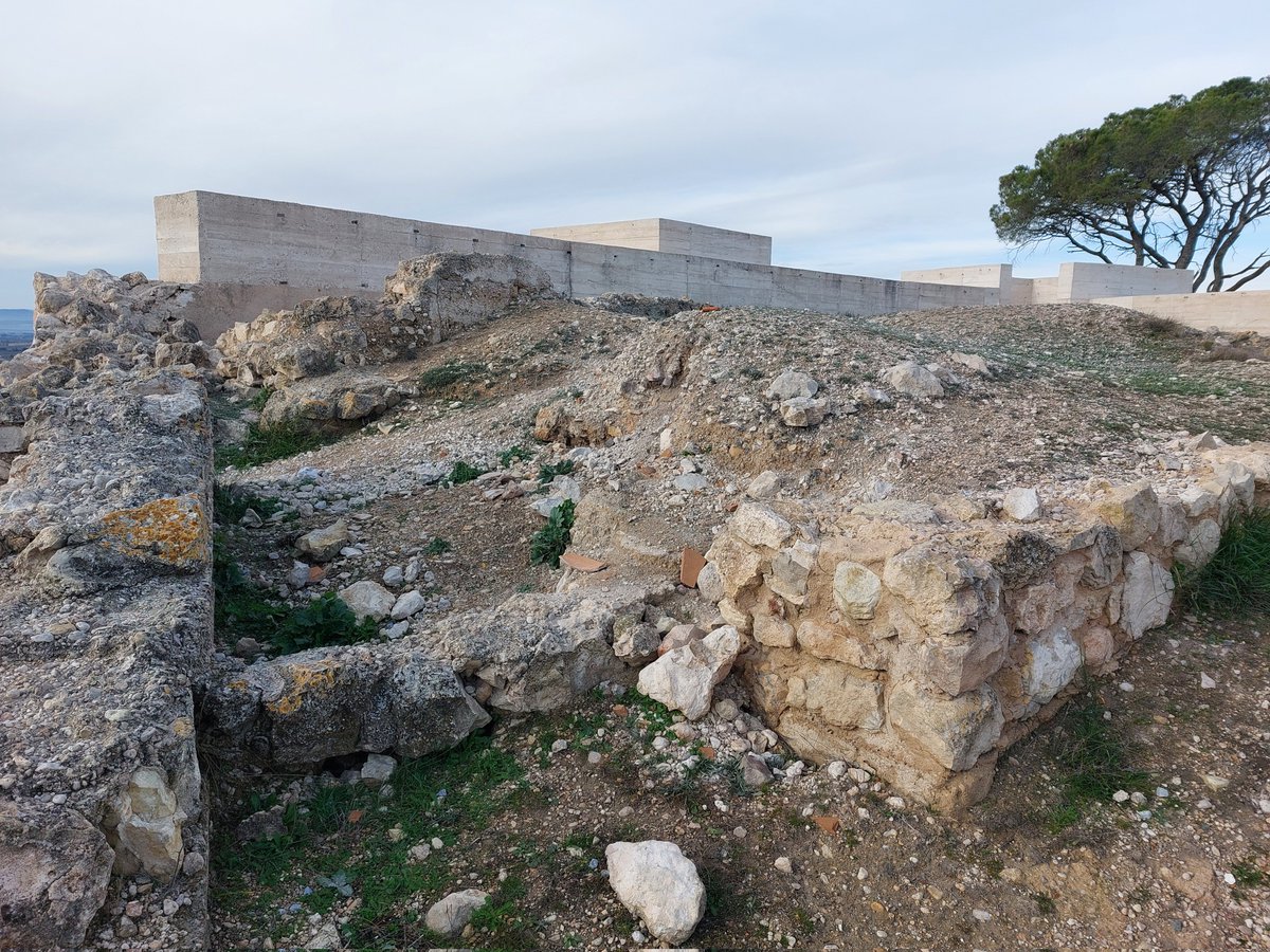 Paco Crespo tweet media