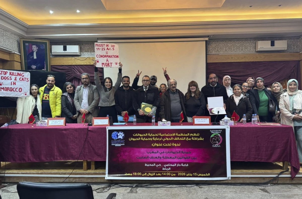 A powerful conference in Rabat has highlighted the public health, legal and human rights impacts of Morocco’s ongoing killing of dogs and cats – urging humane, evidence‑based alternatives.

🔗 petsmag.co.uk/killing-is-not…

#AnimalWelfare #HumanePolicy #PublicHealth #Morocco #PetsMag