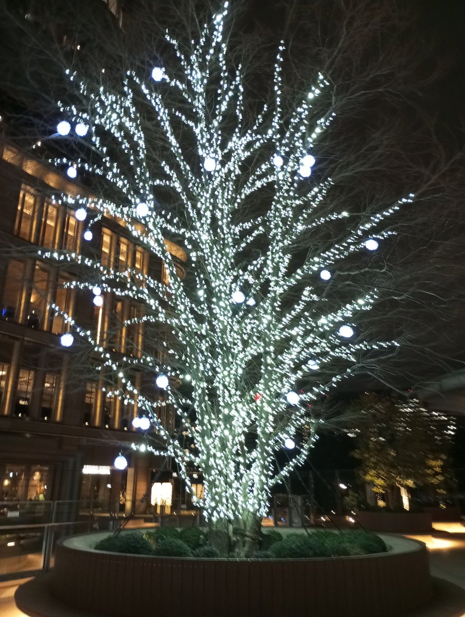 #連続ドラマportraits 

今日は中華屋さんとイルミネーションのロケハン＆監督が日本芸術協会の報告書を作成しました😊
またホームページにあがると思いますので、是非ご覧下さい😄

イルミーは綺麗だけど寒いっ😓今回は誰がイルミーを見に行くのか😁お楽しみに〜✨  

#ゲイドラマ 
#セクマイドラマ