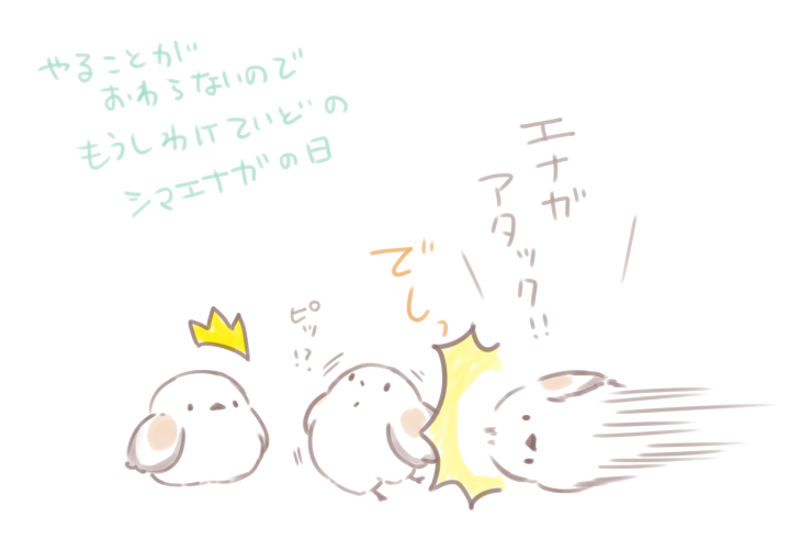 申し訳程度の 