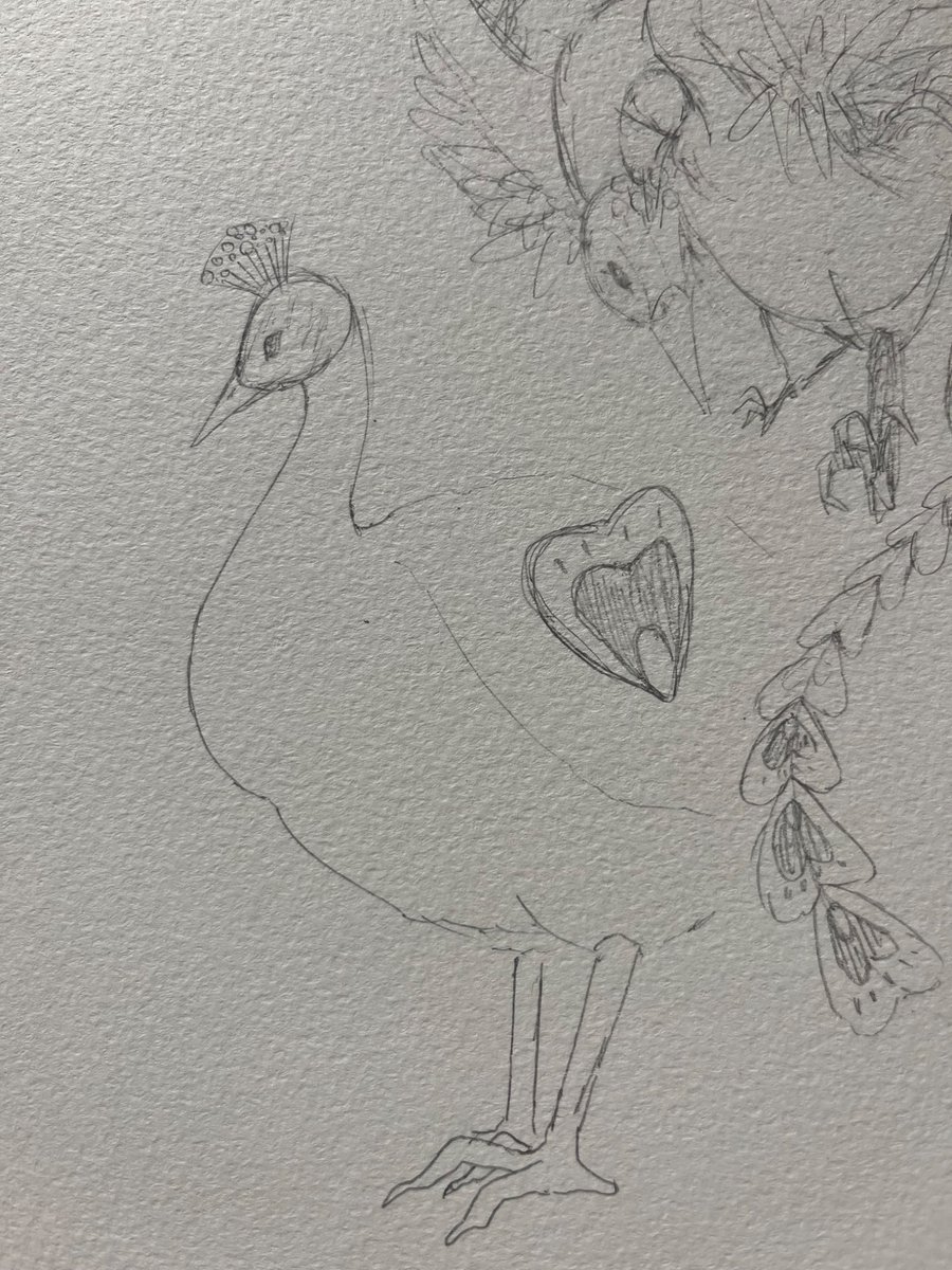 a_oa_0's tweet photo. 鳳凰を描きたくて色々調べつつ、孔雀要素強めがいいなぁーと思いながら何となく描いたやつが最高のボディライン生み出したから見て https://t.co/ItUsvFAnBj