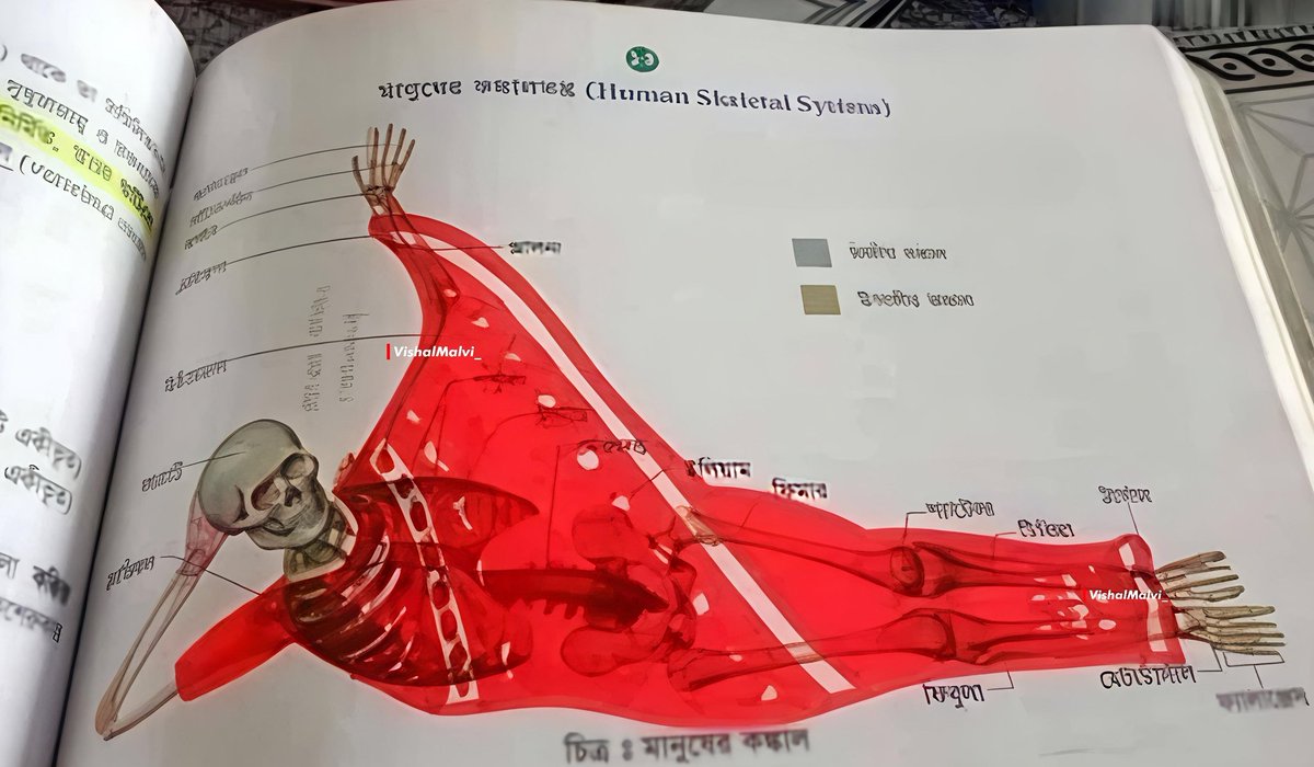 VishalMalvi_'s tweet image. Only backbenchers have this level of creativity bro 😭