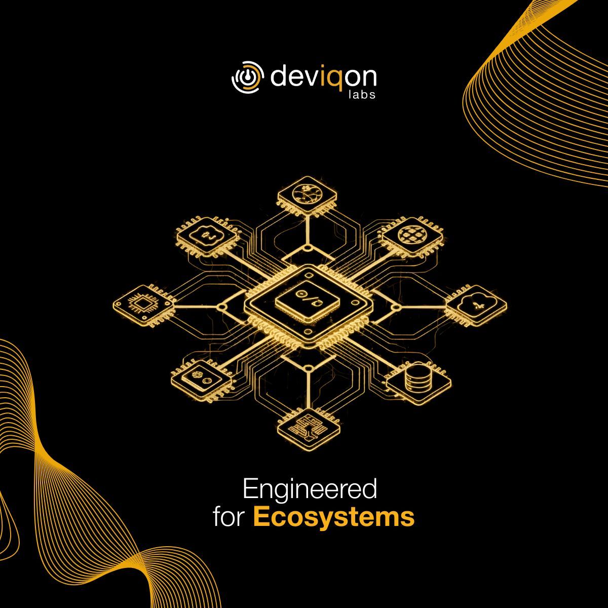 Robert Rotter tweet media