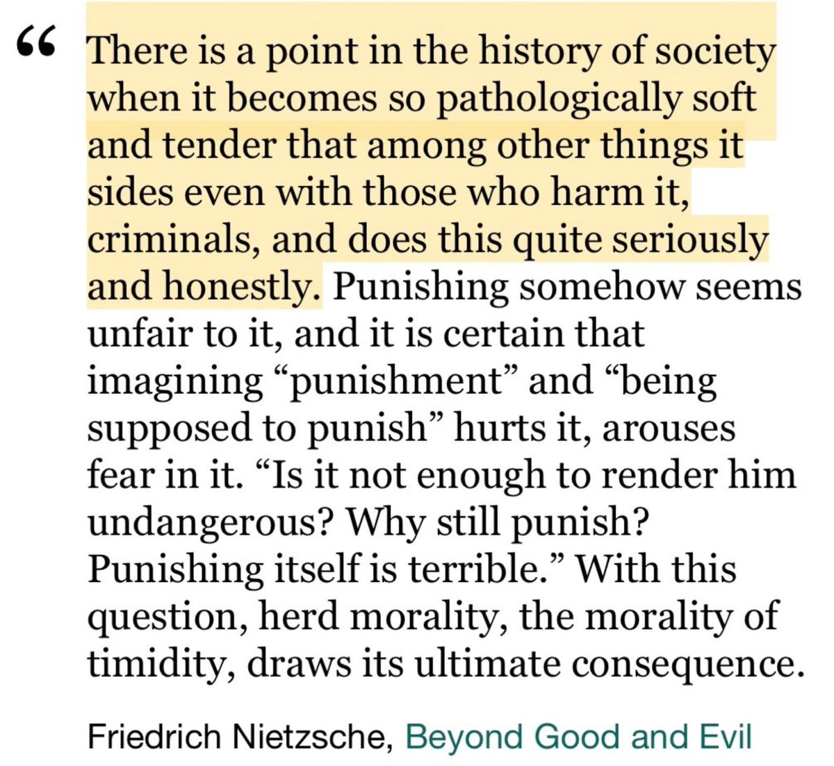 SchopenhauerNow's tweet image. Nietzsche didn’t write quotes. He dropped existential grenades.