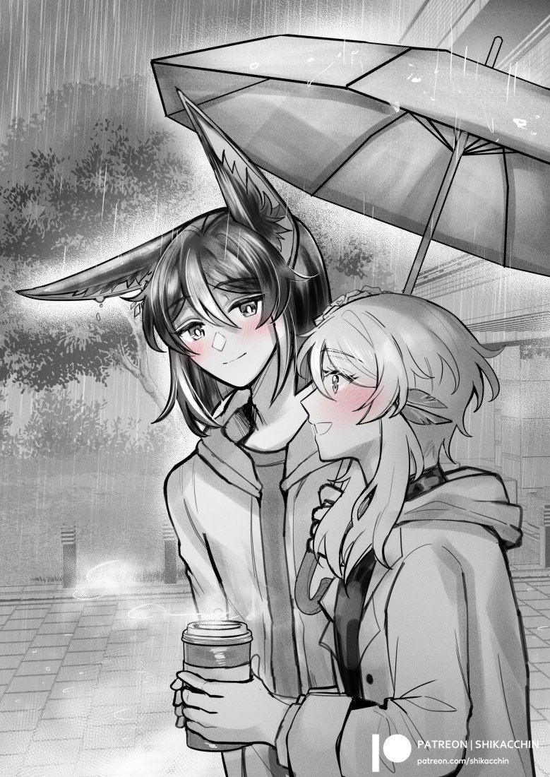 鹿ッチ 🌱 shikacchin tweet media