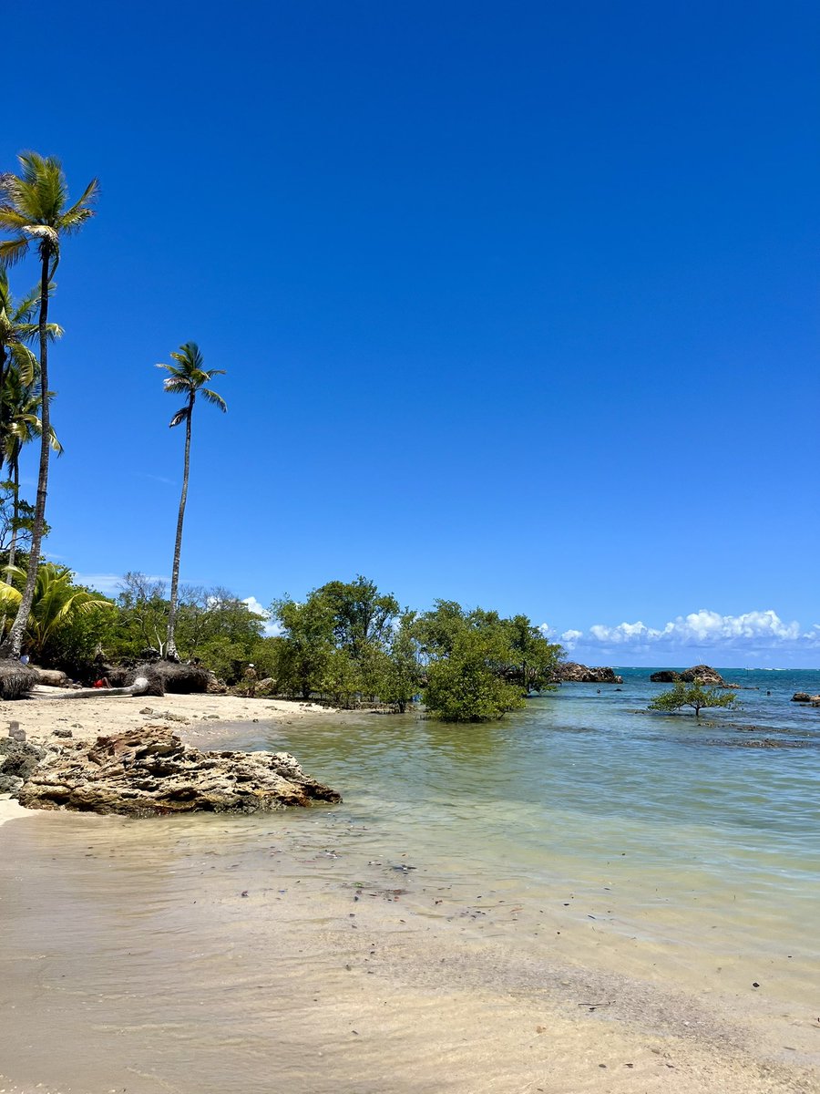 ohstarlights's tweet image. morro de são paulo 📍