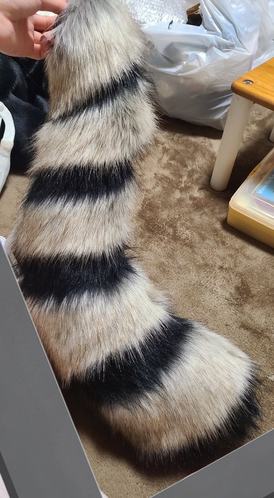 ラクーンの尻尾やっぱかわいい🥰