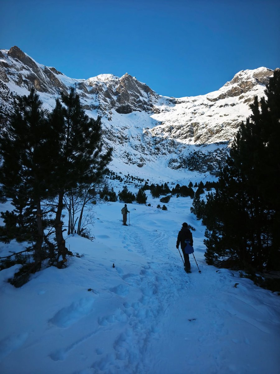Huesca_LaMagia's tweet image. El Valle de Barrosa 💚 situado al norte del valle de #Pineta que esconde rincones de gran belleza 😍🌲

Fotos gracias a instagram.com/guiasdelpirineo