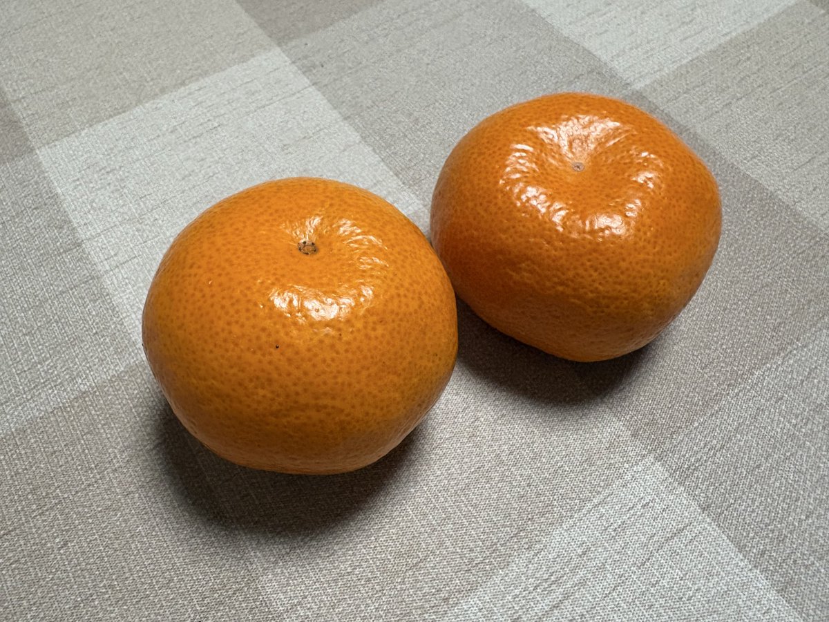 mizuki_naoko_'s tweet image. 子供の頃、我が家で買うミカンは大きめのものばかりだった。
なぜかというと父、水木しげるは左腕がないから。
片腕では大きいミカンのほうが剥きやすいから。
何でも一人でやる父だったから、ミカンも人に剥いてもらうのはキライ。
いつも自分で剥いて食べてた🍊