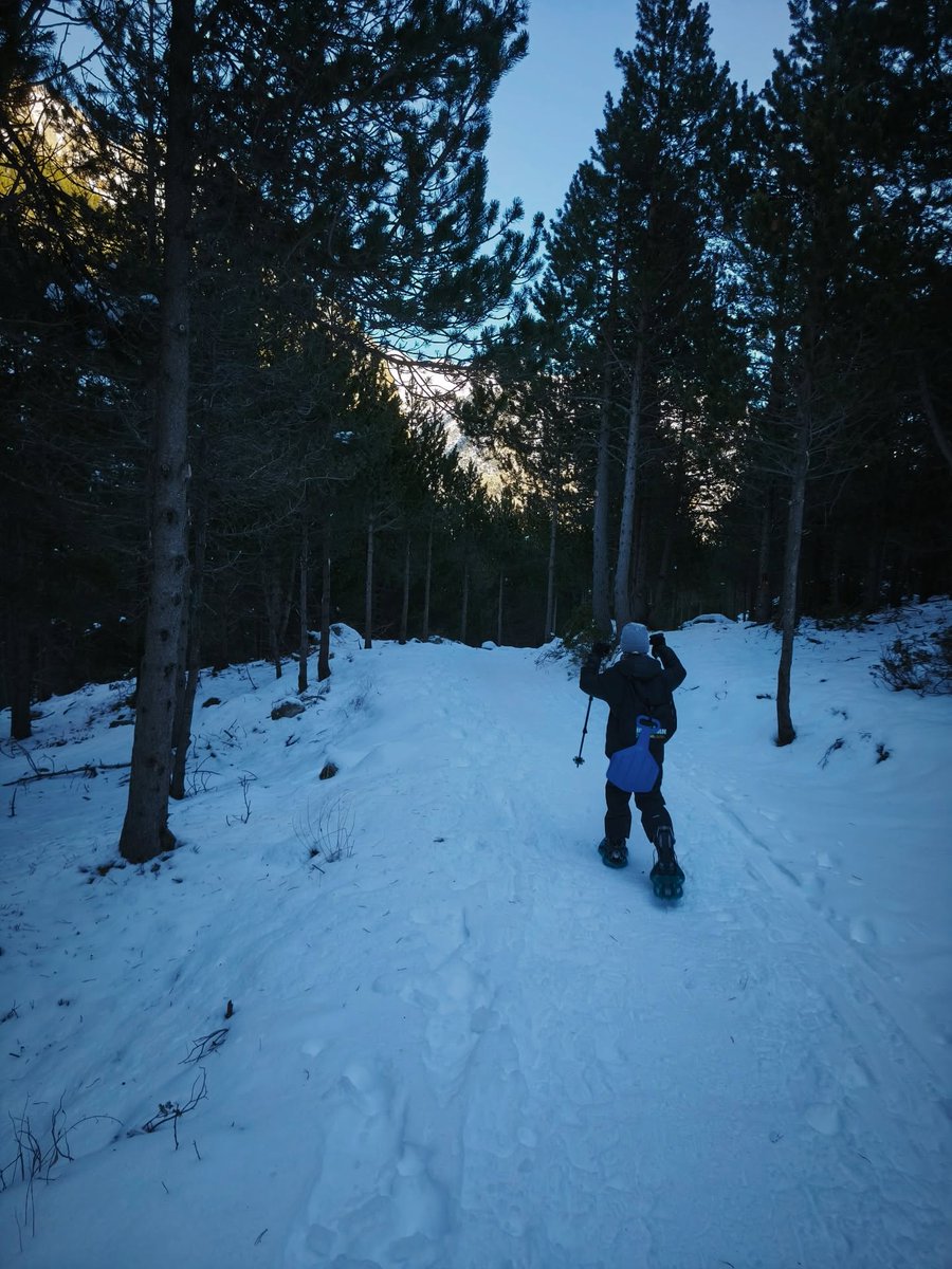 Huesca_LaMagia's tweet image. El Valle de Barrosa 💚 situado al norte del valle de #Pineta que esconde rincones de gran belleza 😍🌲

Fotos gracias a instagram.com/guiasdelpirineo