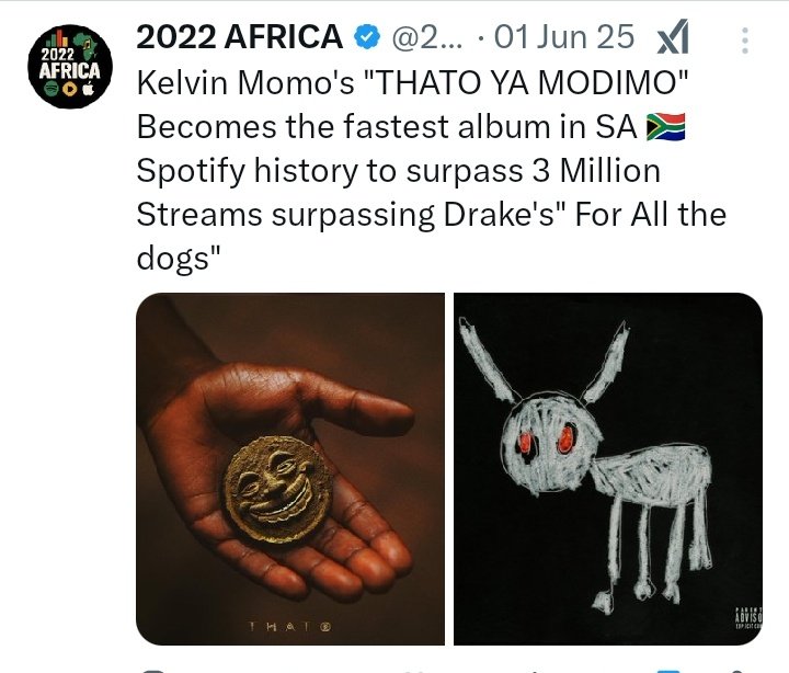 Andile tweet media