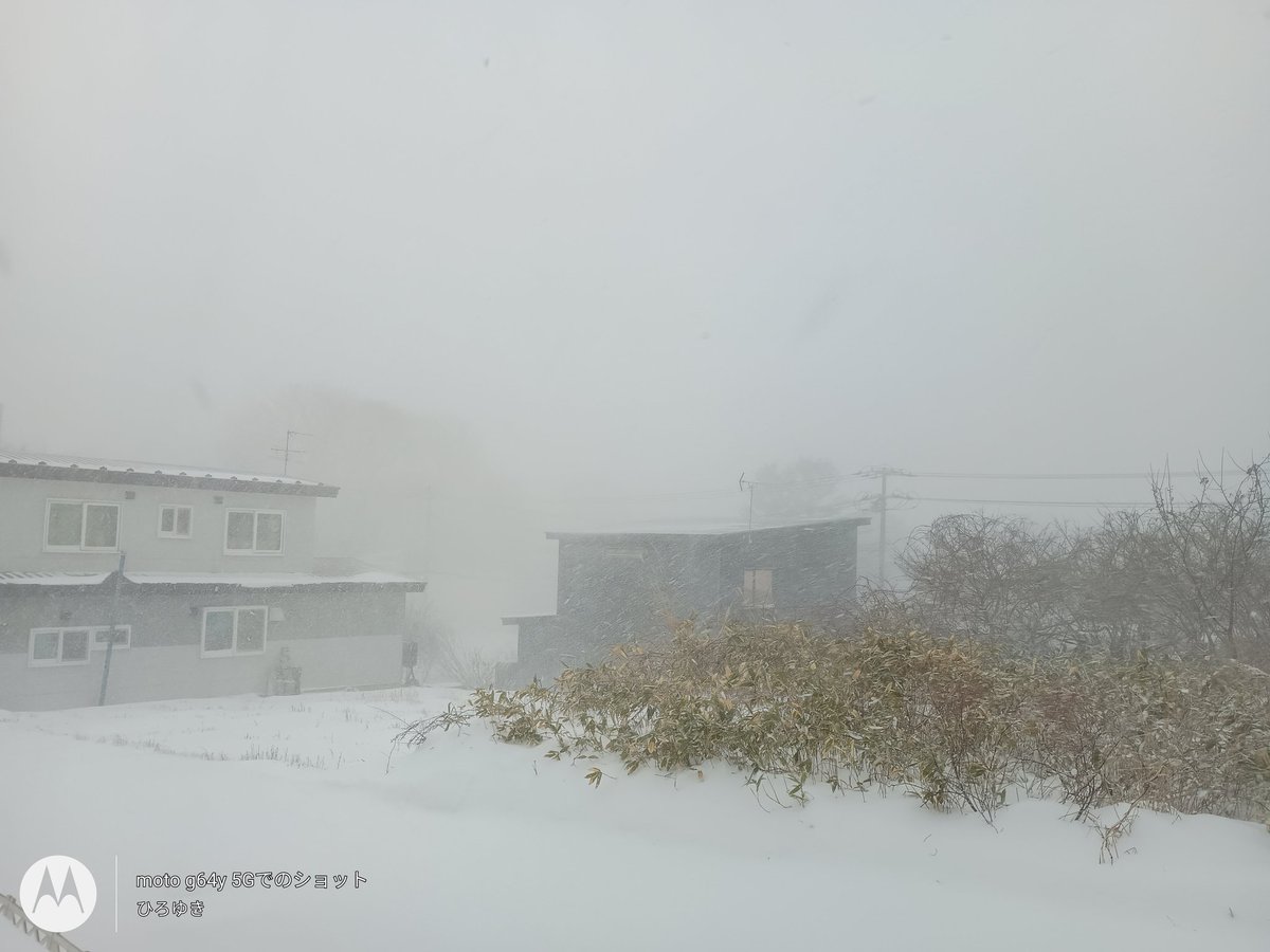 hiro_LC's tweet image. 雪かきして、除雪も入ったから綺麗になったのに。。。
また積もっとる。。しかも重そうなやつ。。