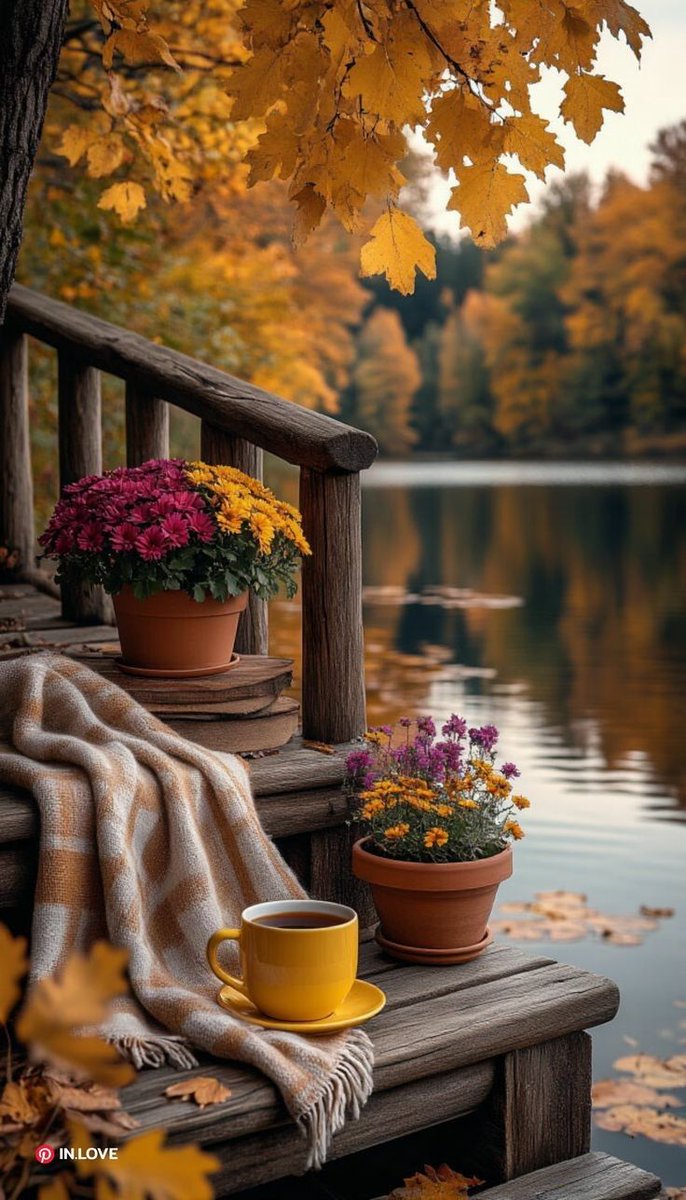 DailyFlowersX's tweet image. 