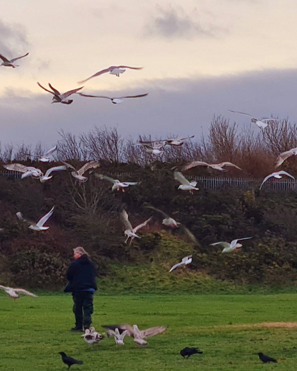 SpiderWirral's tweet photo. Member Photography 📸

Swipe left to see some of our fabulous member photography! 🤩

We have extremely talented people down here at Spider

#spiderproject #wirral #uk #creativearts #recovery #mentalhealth #mentalhealthawareness #volunteering #volunteer #art #arts #community https://t.co/lzczEGLa4Y