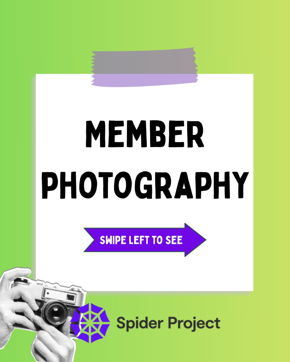SpiderWirral's tweet photo. Member Photography 📸

Swipe left to see some of our fabulous member photography! 🤩

We have extremely talented people down here at Spider

#spiderproject #wirral #uk #creativearts #recovery #mentalhealth #mentalhealthawareness #volunteering #volunteer #art #arts #community https://t.co/lzczEGLa4Y