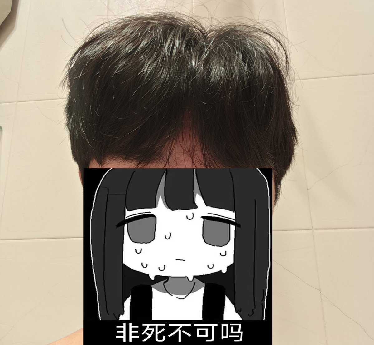 沟槽的我卷毛呢？我头上这个屁股是啥呀😭#理发