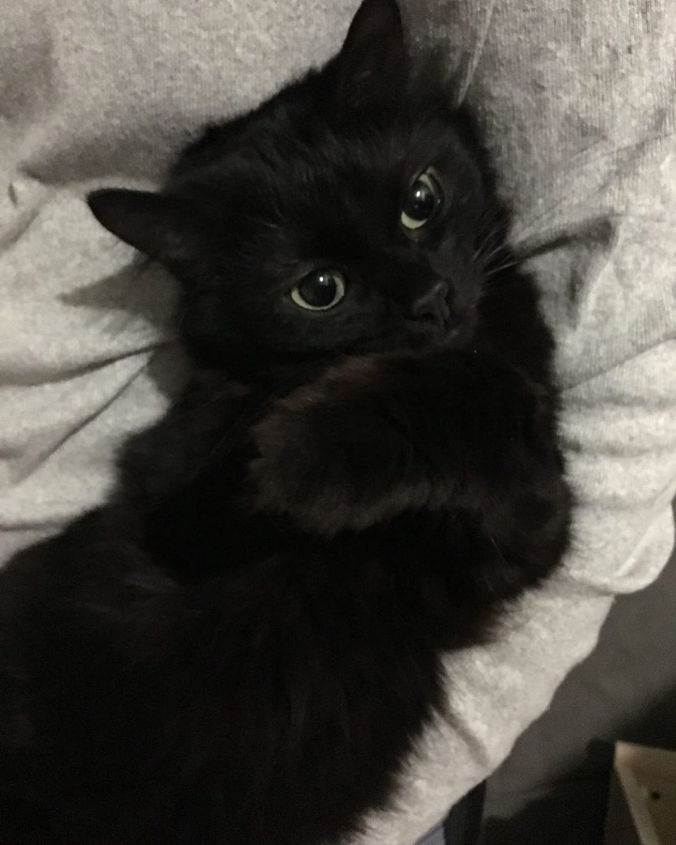 오늘 영케이 이렇게생김