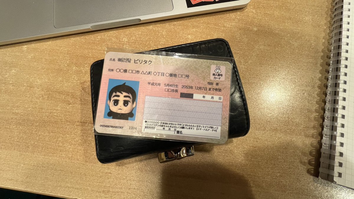 마이넘버카드당장필요한데없어서정신이상자됏거든... 그냥이거제출하면안되나?