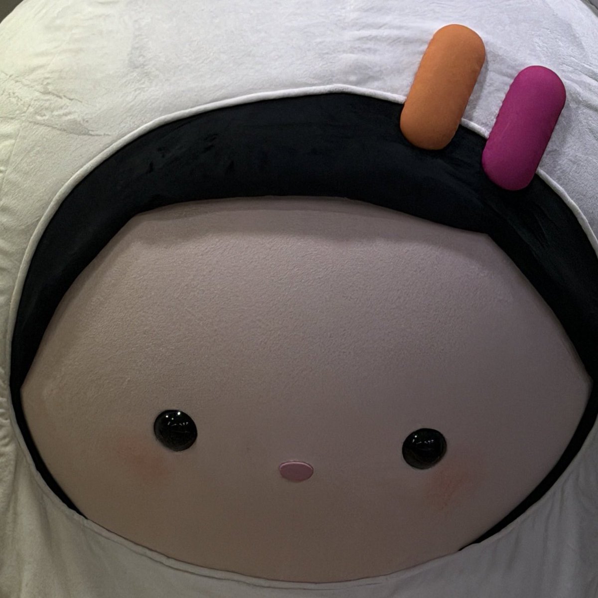 imnotblooming's tweet image. เอนี่ เอสนี่