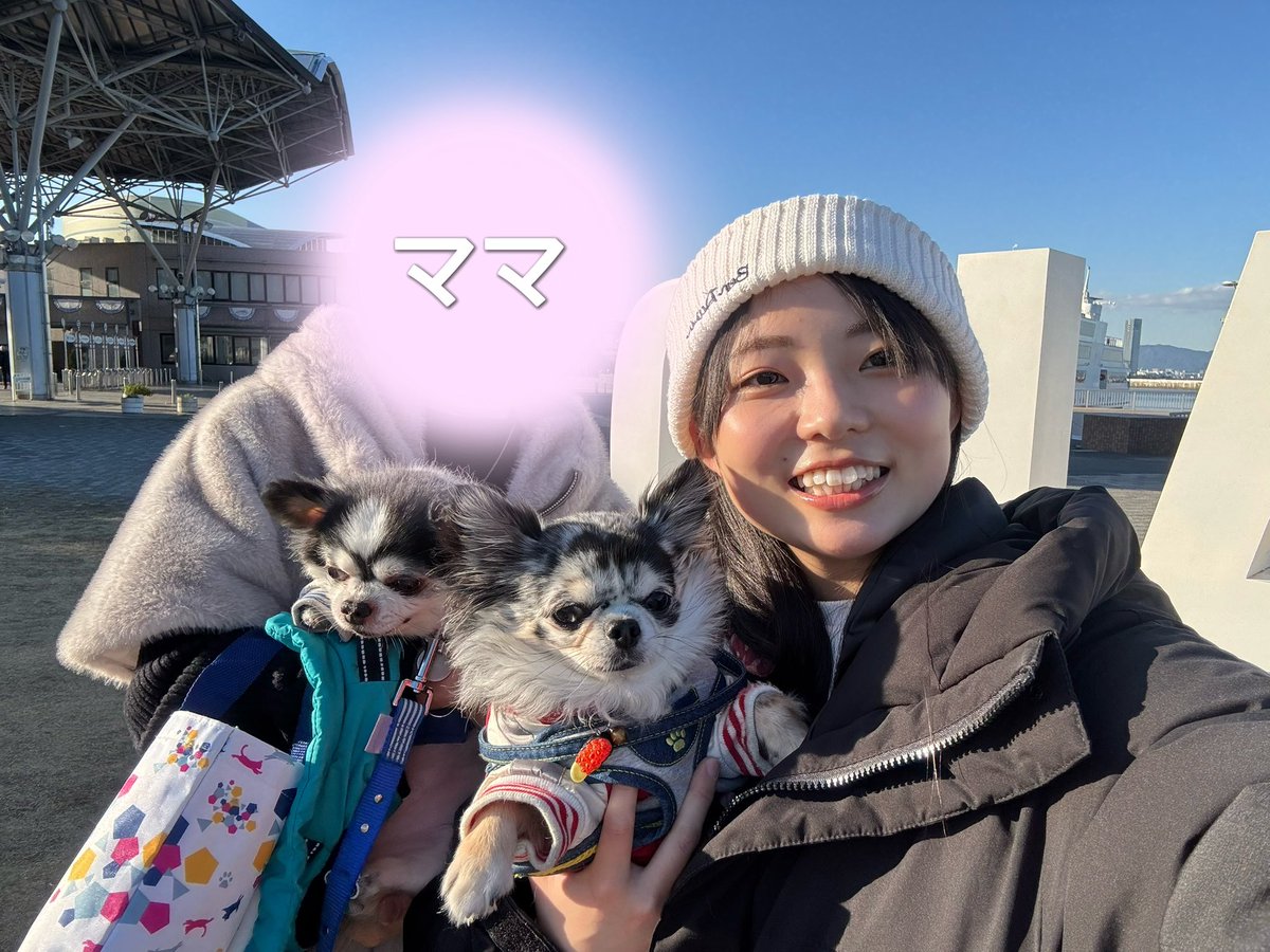 休みの日に愛犬とお出かけしました🐶🚗
天気も良くて、いっぱい遊べて、いっぱい写真も撮れて最高の日でした✨🐾

 #犬のいる暮らし   #チワワのいる暮らし 
 #チワワ