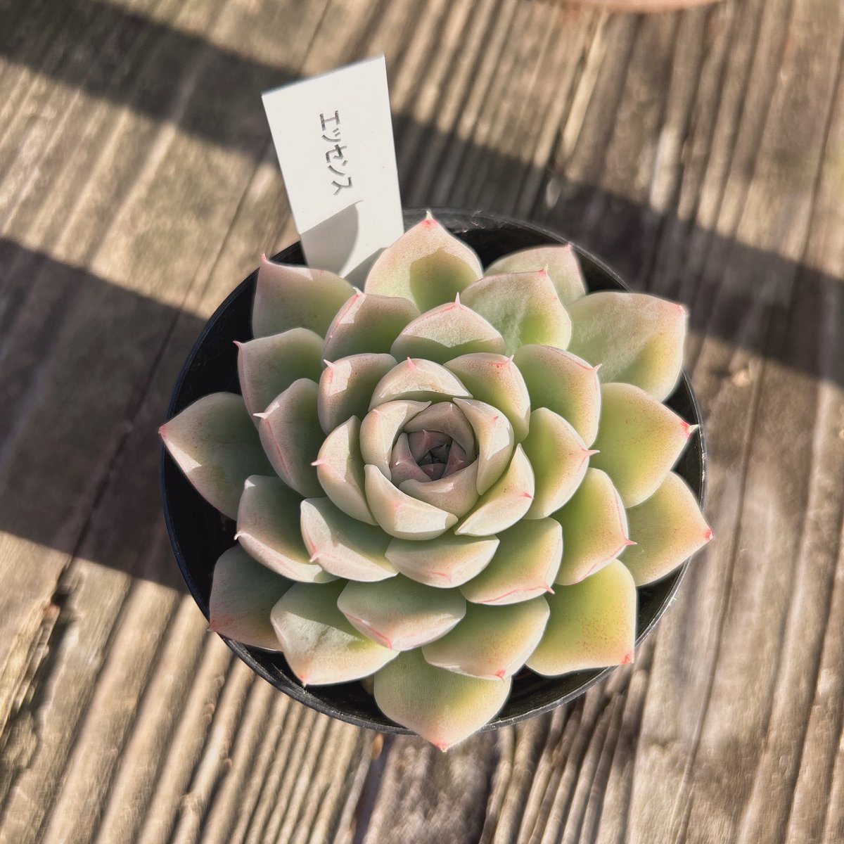 Ru−−− (@Ruta29life) / Posts / X