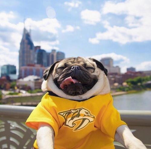 PiusJet's tweet image. Just found an old journal