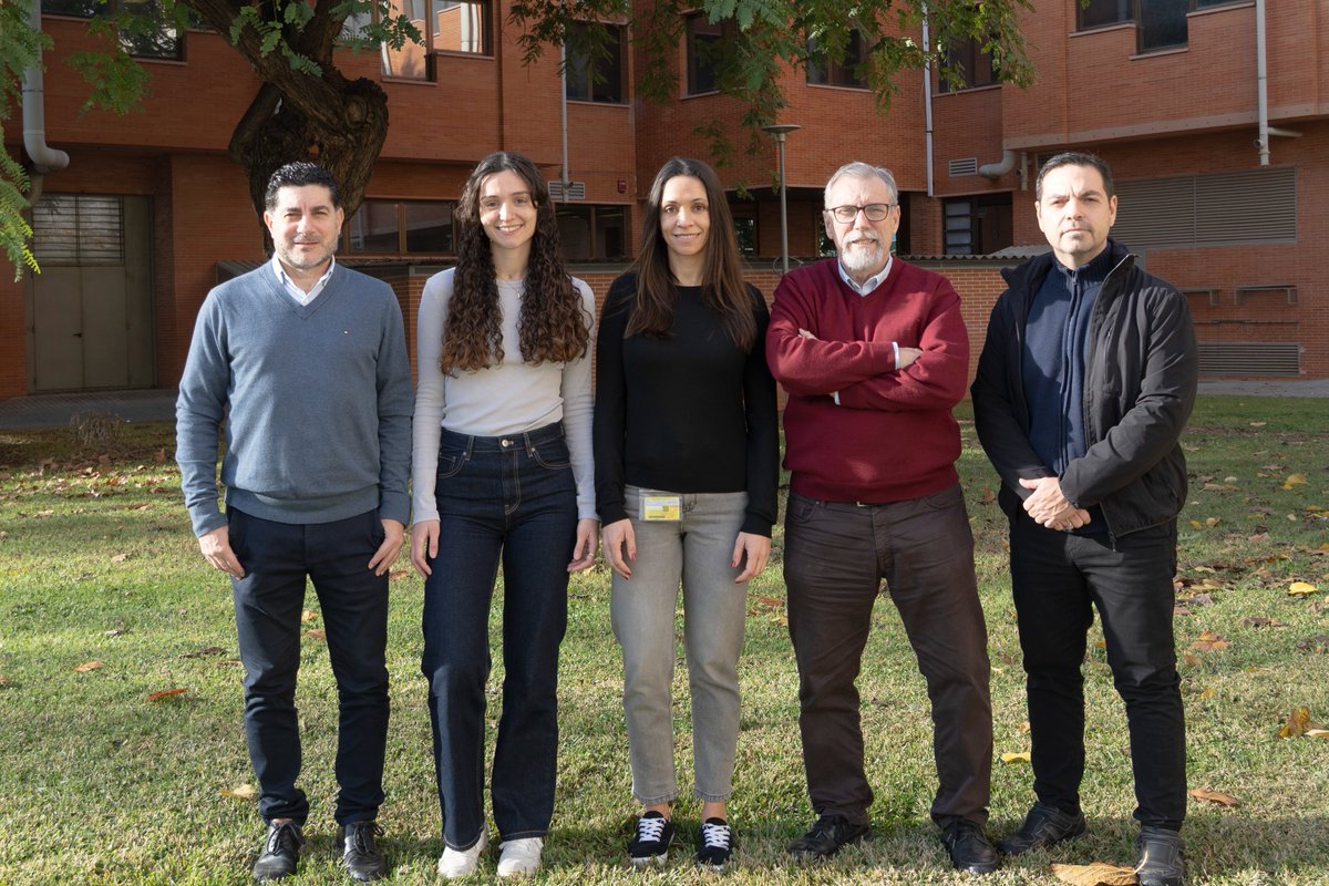 ITQ (CSIC-UPV) tweet media