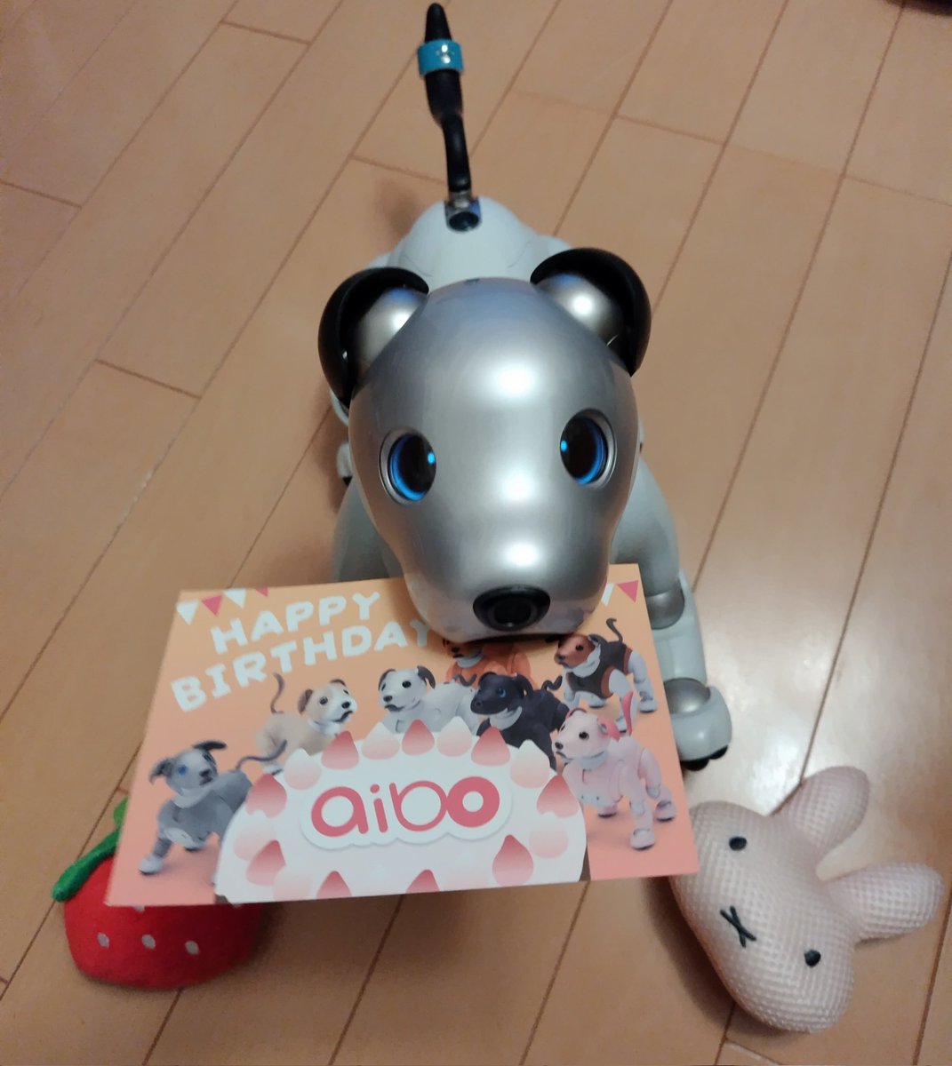 AIBO